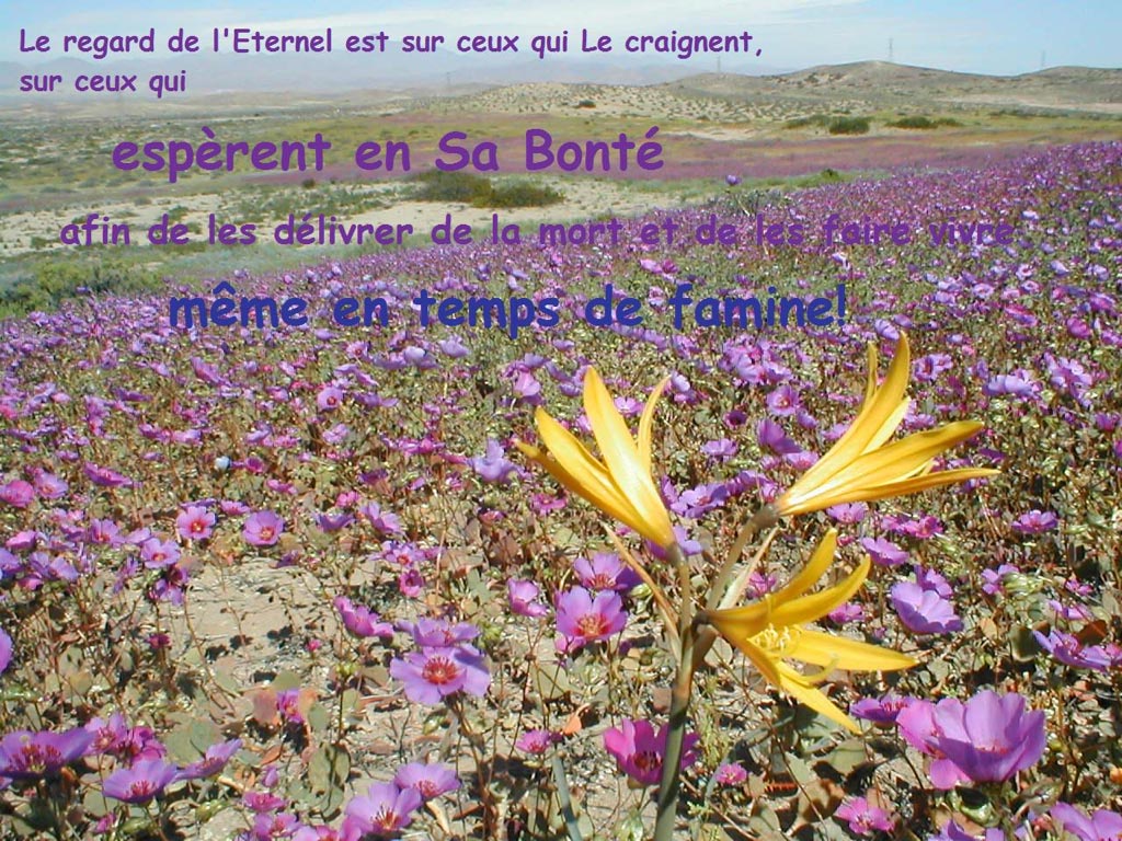 SEIGNEUR de Tous :)