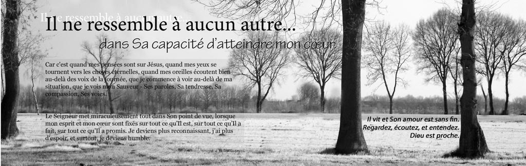 Il ne Ressemble à Aucun Autre