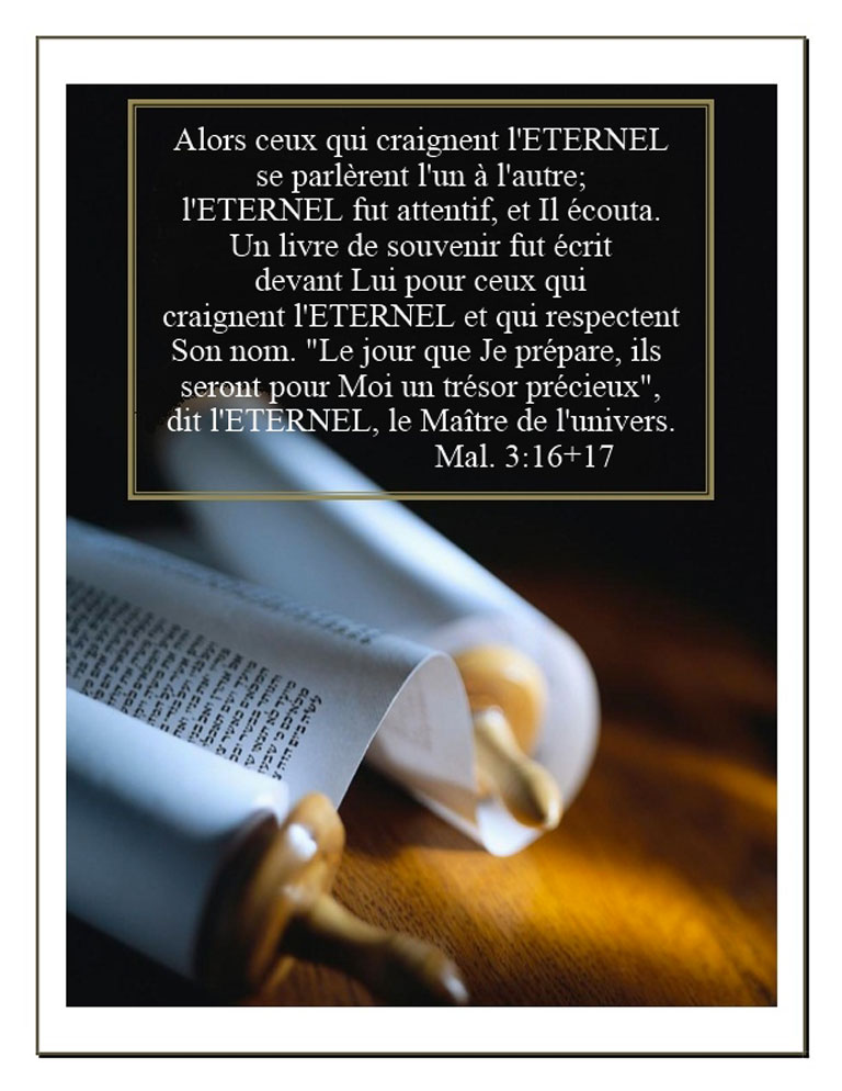 Des Trésors Précieux :)