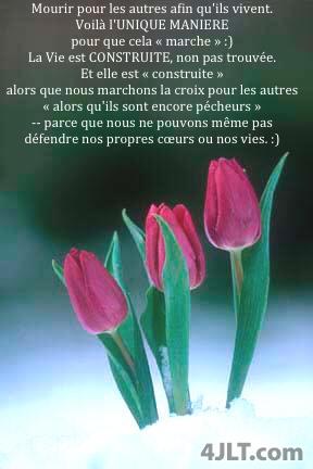 L’UNIQUE manière pour que cela « marche »