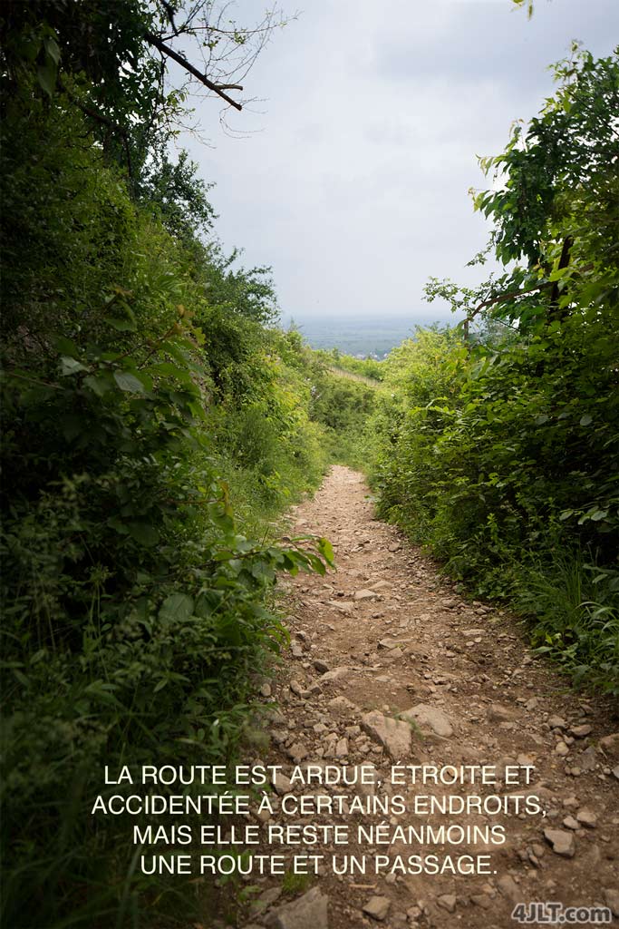 Étroite mais MAGNIFIQUE !