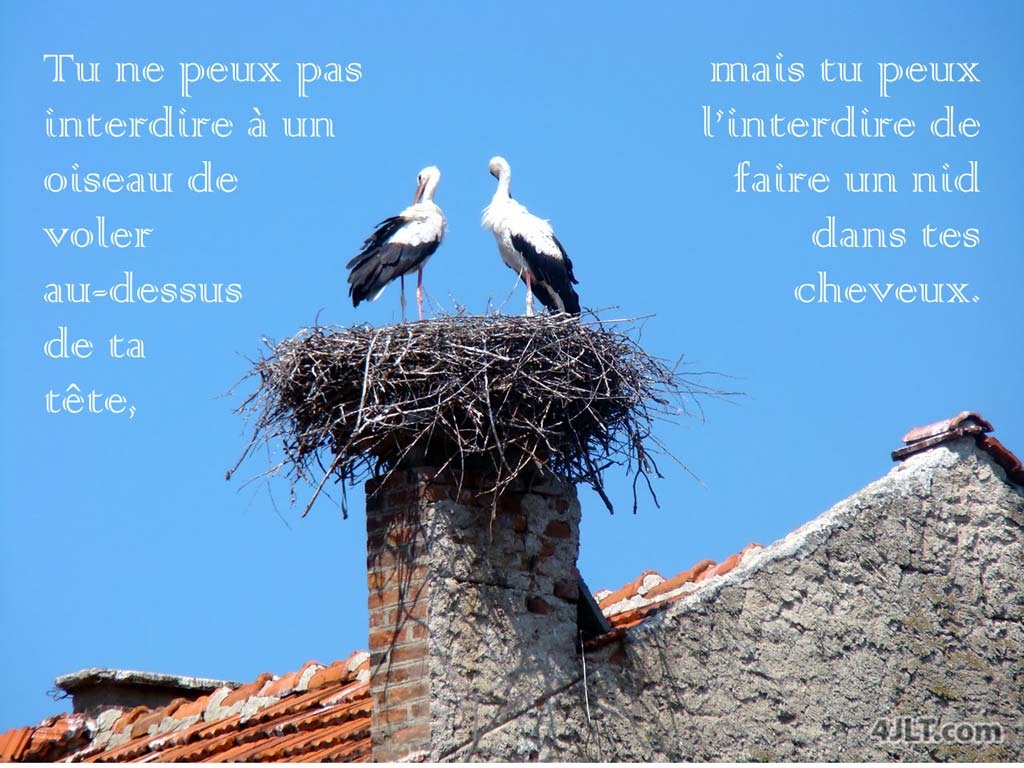 C’est nous qui CHOISISSONS ce que nous laissons faire nos esprits