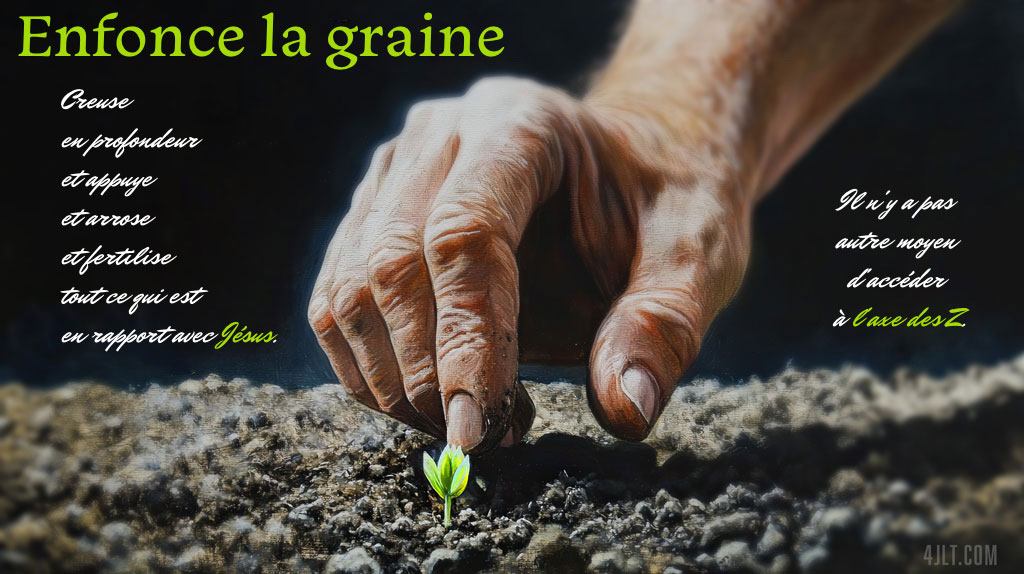 Enfonce la graine
