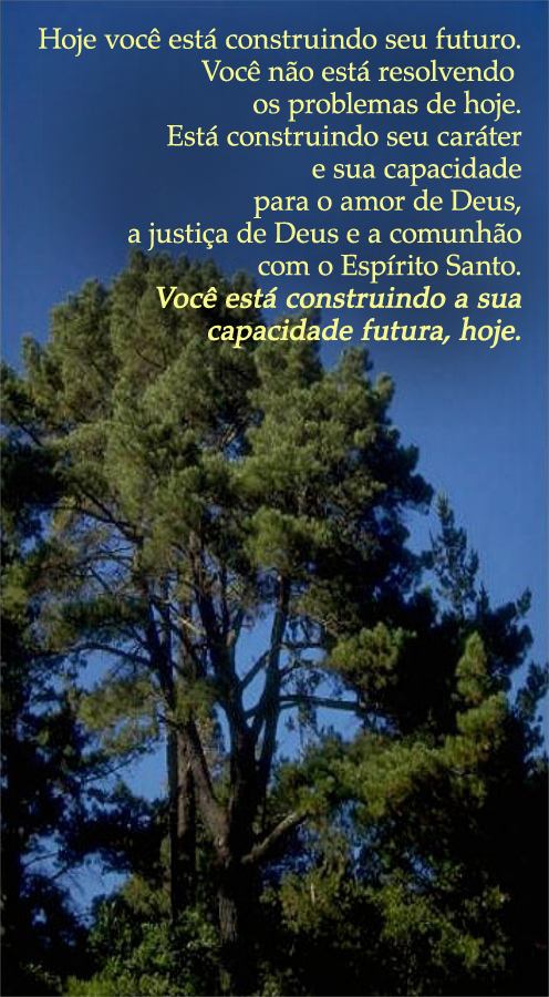 Construa Seu Futuro Hoje